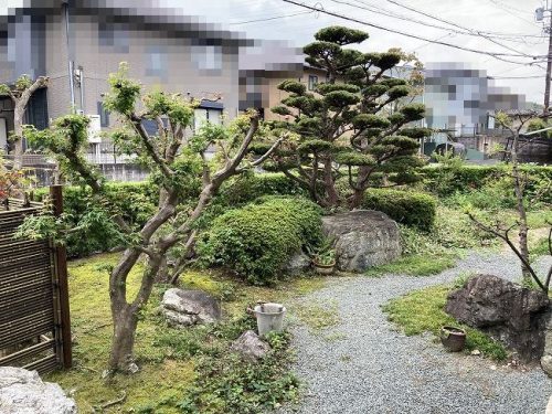 庭　